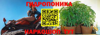каннабис Бердск