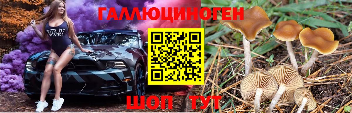 Псилоцибиновые грибы мицелий  Вход с VPN  даркнет сайт  Вязники 